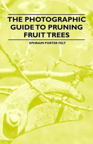 Cover image for The Photographic Guide to Pruning Fruit Trees