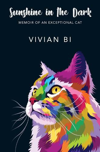 Cover image for Sunshine in the Dark