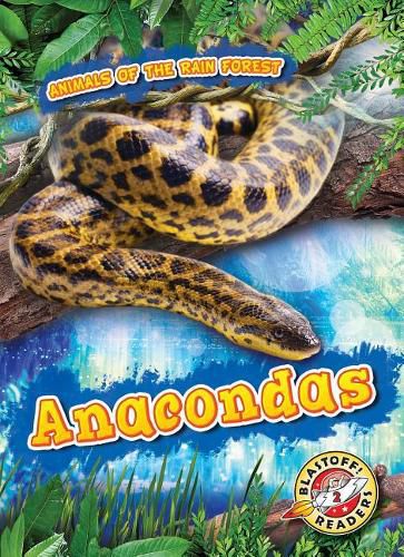 Cover image for Anacondas
