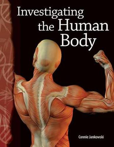 Cover image for Investigating the Human Body