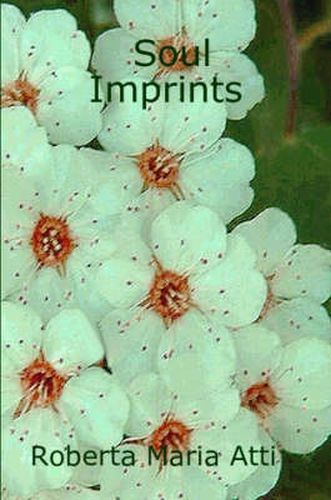 Cover image for Soul Imprints