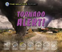 Cover image for Tornado Alert!