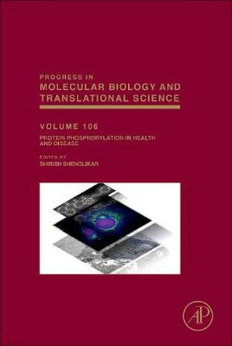 Cover image for Protein Phosphorylation in Health and Disease
