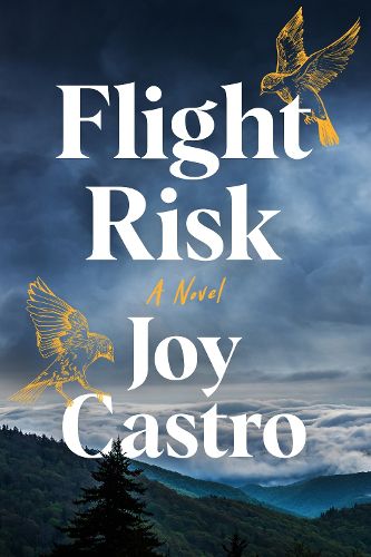 Cover image for Flight Risk: A Novel