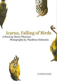 Cover image for Icarus, Falling of Birds