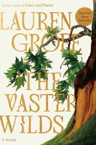 Cover image for The Vaster Wilds