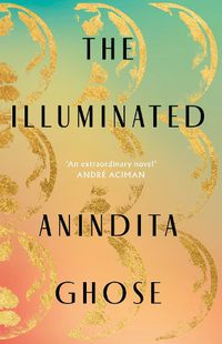 Cover image for The Illuminated