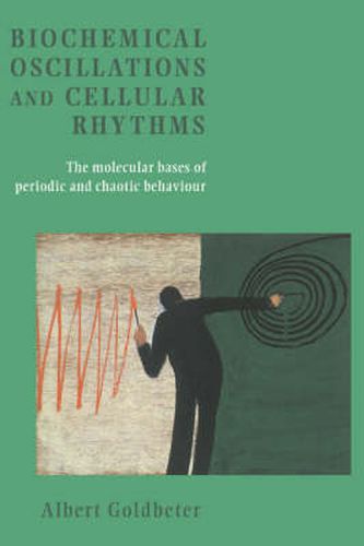 Cover image for Biochemical Oscillations and Cellular Rhythms: The Molecular Bases of Periodic and Chaotic Behaviour