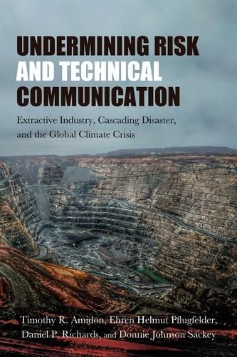 Cover image for Undermining Risk and Technical Communication