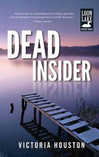 Cover image for Dead Insider, 13