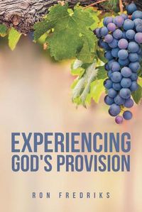 Cover image for Experiencing God's Provision