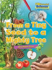 Cover image for Fundamental Science Key Stage 1: From a Tiny Seed to a Mighty Tree: How Plants Grow