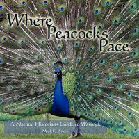 Cover image for Where Peacocks Pace