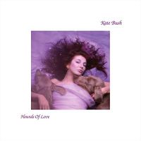 Cover image for Hounds Of Love ***vinyl