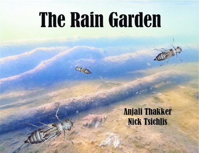 Cover image for The Rain Garden