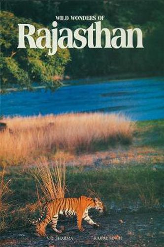 Cover image for Wild Wonder of Rajasthan