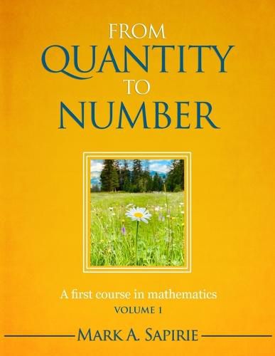 Cover image for From Quantity To Number: A first course in mathematics