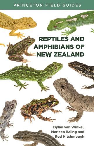 Cover image for Reptiles and Amphibians of New Zealand