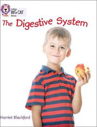 Cover image for The Digestive System: Band 08/Purple