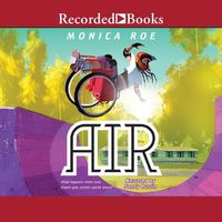Cover image for Air