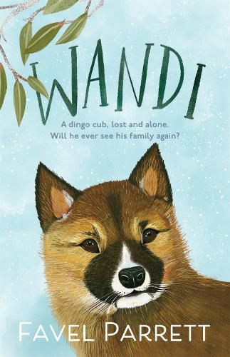 Cover image for Wandi