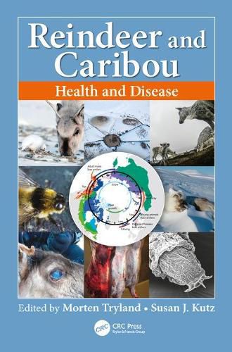 Cover image for Reindeer and Caribou: Health and Disease