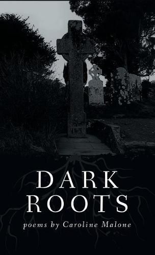 Cover image for Dark Roots