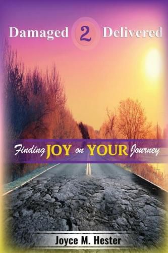 Cover image for Damaged2Delivered: Finding Joy on the Journey