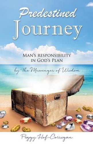 Cover image for Predestined Journey