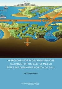 Cover image for Approaches for Ecosystem Services Valuation for the Gulf of Mexico After the Deepwater Horizon Oil Spill: Interim Report