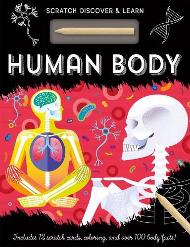 Human Body