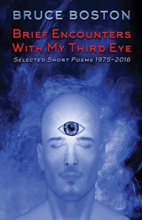 Cover image for Brief Encounters with My Third Eye: Selected Short Poems 1975-2016