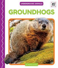 Cover image for Groundhogs