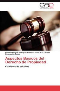 Cover image for Aspectos Basicos del Derecho de Propiedad