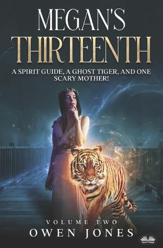 Cover image for Megan`s Thirteenth
