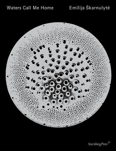 Cover image for Emilija Skarnulyte