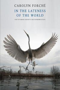Cover image for In the Lateness of the World