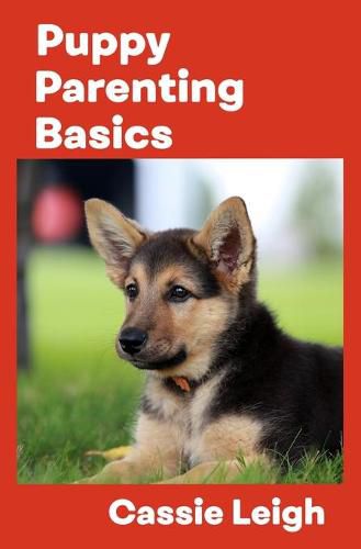 Puppy Parenting Basics