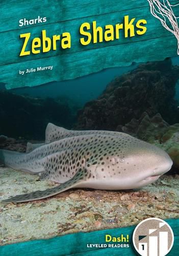 Cover image for Zebra Sharks