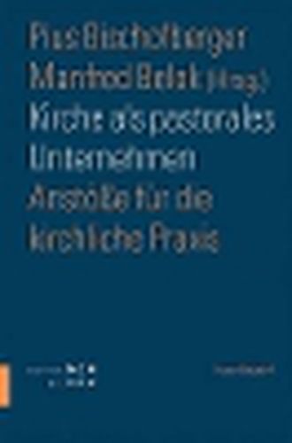 Cover image for Kirche ALS Pastorales Unternehmen: Anstosse Fur Die Kirchliche Praxis