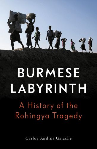 Cover image for The Burmese Labyrinth