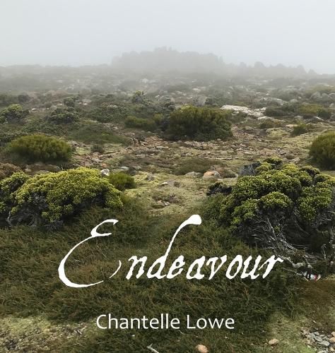 Cover image for Endeavour: Anthology - Volume Three