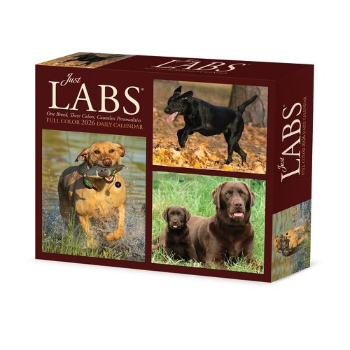 Cover image for Just Labs 2026 Box Calendar