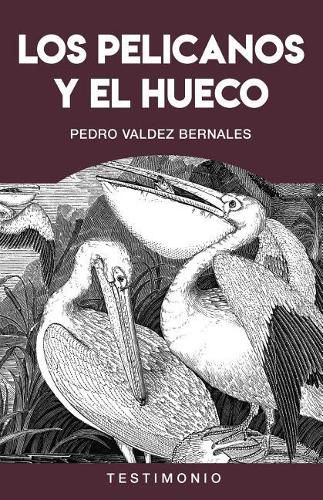 Cover image for Los Pelicanos Y El Hueco: Violaciones de Los Derechos Humanos Durante La Guerra Interna En El Per