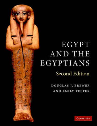 Cover image for Egypt and the Egyptians