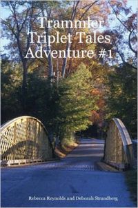 Cover image for Trammler Triplet Tales Adventure #1