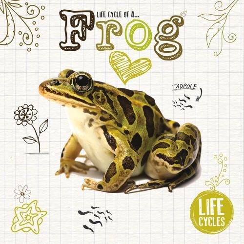 Cover image for Frog