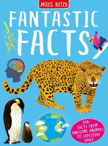 Cover image for Fantastic Facts