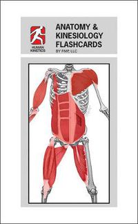 Cover image for Anatomy & Kinesiology Flashcards