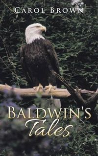 Cover image for Baldwin's Tales